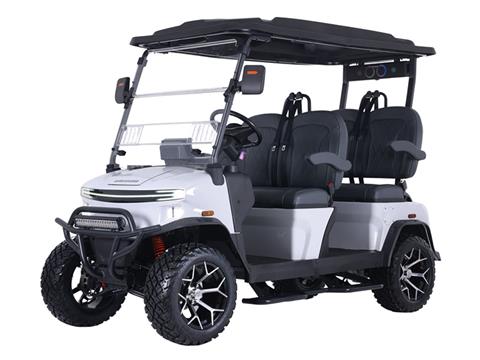2025 Denago EV Rover XL