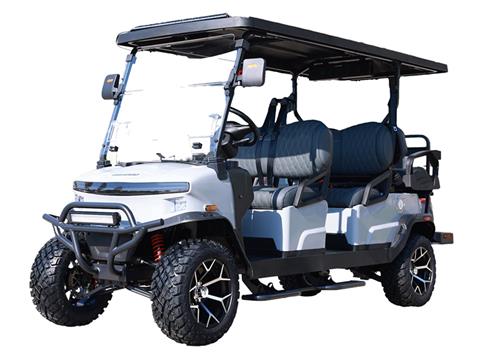 2025 Denago EV Rover XL 6 in Virginia Beach, Virginia