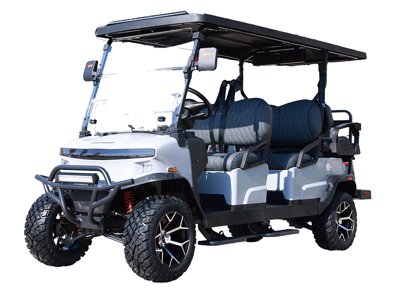 2025 Denago EV Rover XL 6 in Virginia Beach, Virginia - Photo 1