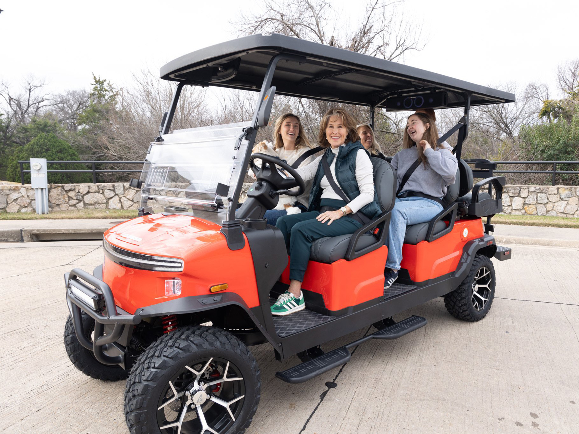 2025 Denago EV Rover XL 6 in Virginia Beach, Virginia - Photo 11