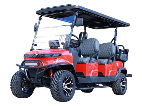 2025 Denago EV Rover XL 6