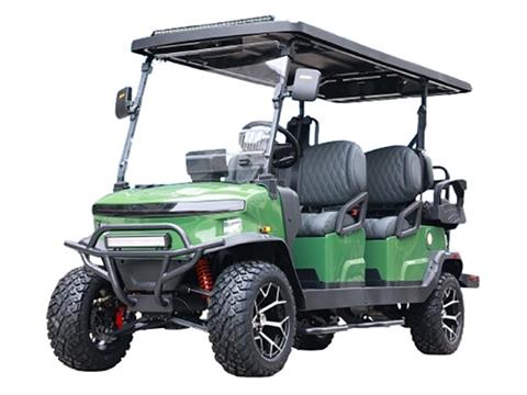 2025 Denago EV Rover XL 6 in Virginia Beach, Virginia - Photo 1