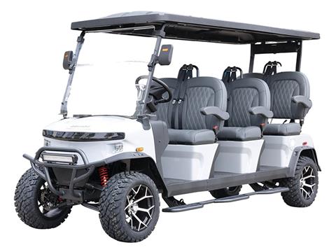 2025 Denago EV Rover XXL in Virginia Beach, Virginia