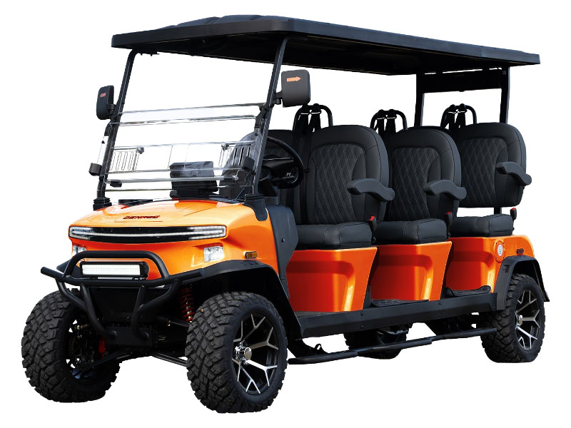 2025 Denago EV Rover XXL in Virginia Beach, Virginia - Photo 1