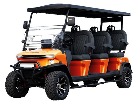 2025 Denago EV Rover XXL