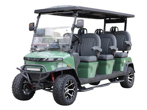 2025 Denago EV Rover XXL