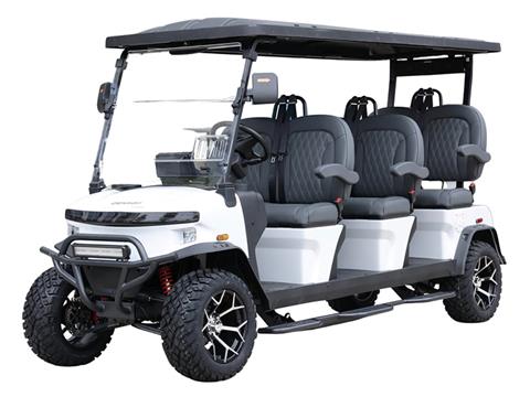 2025 Denago EV Rover XXL