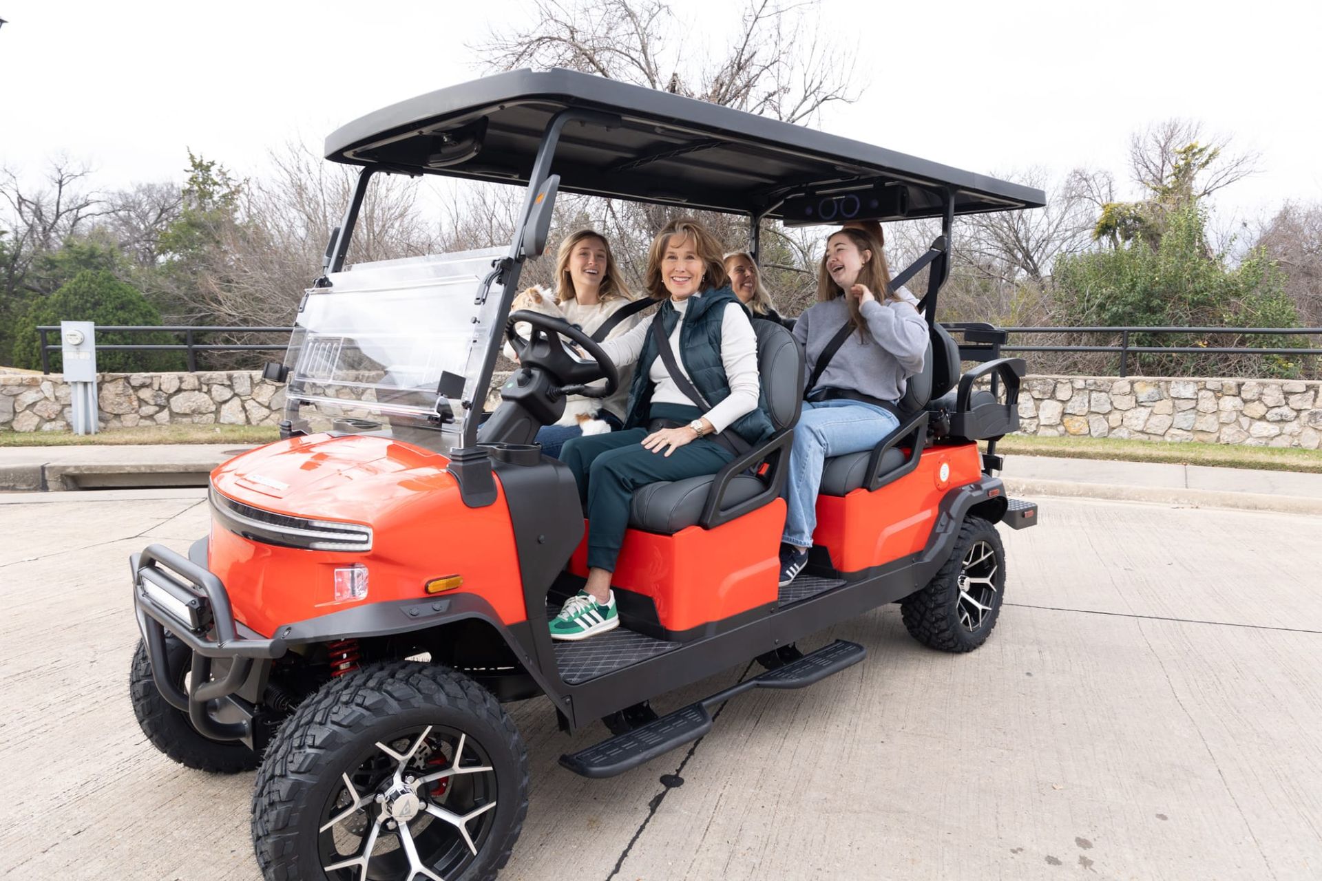 2026 Denago EV Rover XL6 in Sykesville, Maryland - Photo 9