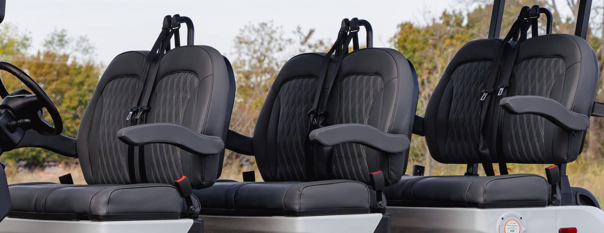 2026 Denago EV Rover XXL in Sykesville, Maryland - Photo 5