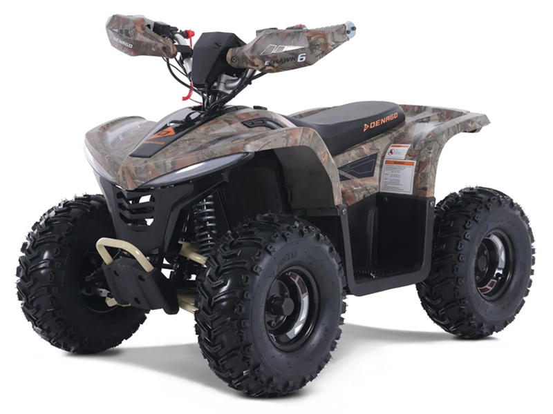 2023 Denago Powersports E-Hawk 6 in Vestal, New York - Photo 1