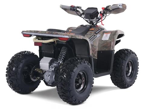 2023 Denago Powersports E-Hawk 6 in Vestal, New York - Photo 3