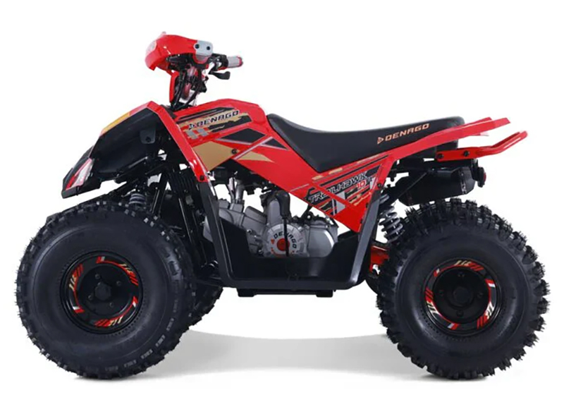 2023 Denago Powersports Trailhawk 10FI in Vestal, New York - Photo 1