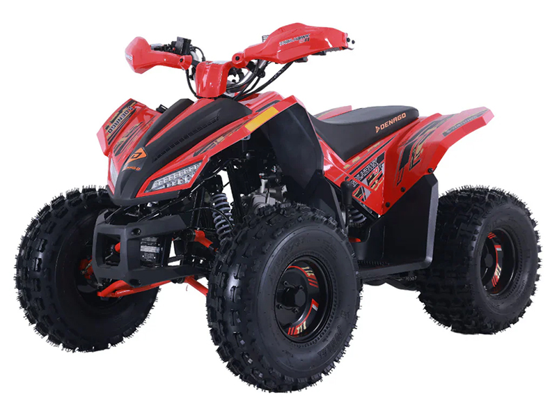 2023 Denago Powersports Trailhawk 10FI in Vestal, New York - Photo 3