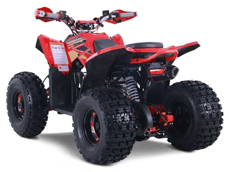 2023 Denago Powersports Trailhawk 10FI in Vestal, New York - Photo 5
