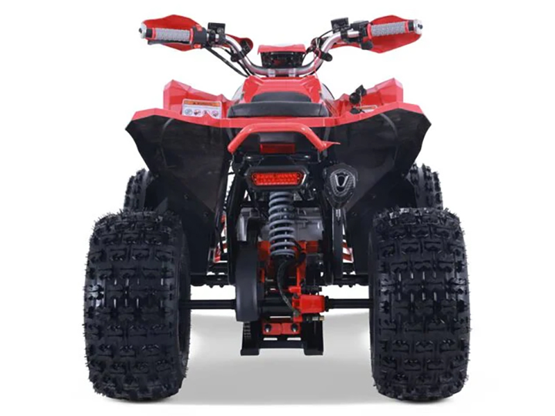 2023 Denago Powersports Trailhawk 10FI in Vestal, New York - Photo 6