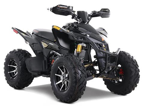 2023 Denago Powersports Daytona 250 FI in Vestal, New York - Photo 3
