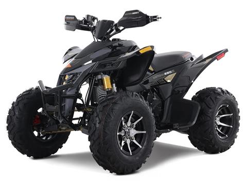 2023 Denago Powersports Daytona 250 FI in Vestal, New York - Photo 4