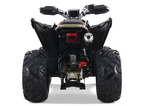 2023 Denago Powersports Daytona 250 FI in Vestal, New York - Photo 8