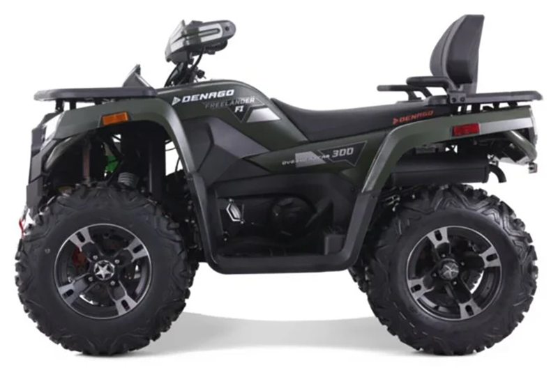 2023 Denago Powersports Freelander 300FI in Vestal, New York - Photo 1