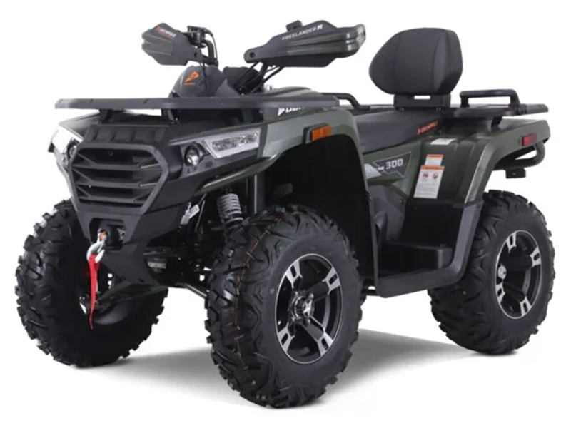 2023 Denago Powersports Freelander 300FI in Vestal, New York - Photo 2