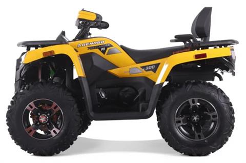 2023 Denago Powersports Freelander 300FI