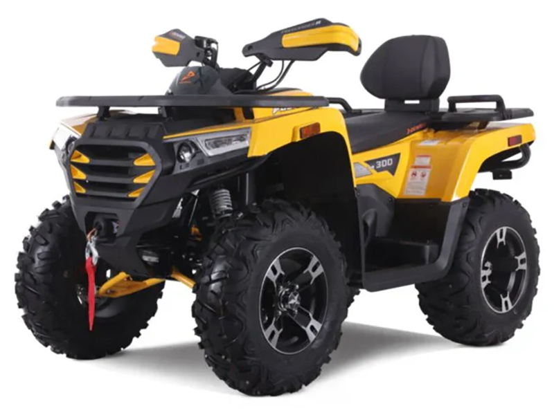 2023 Denago Powersports Freelander 300FI in Vestal, New York - Photo 2