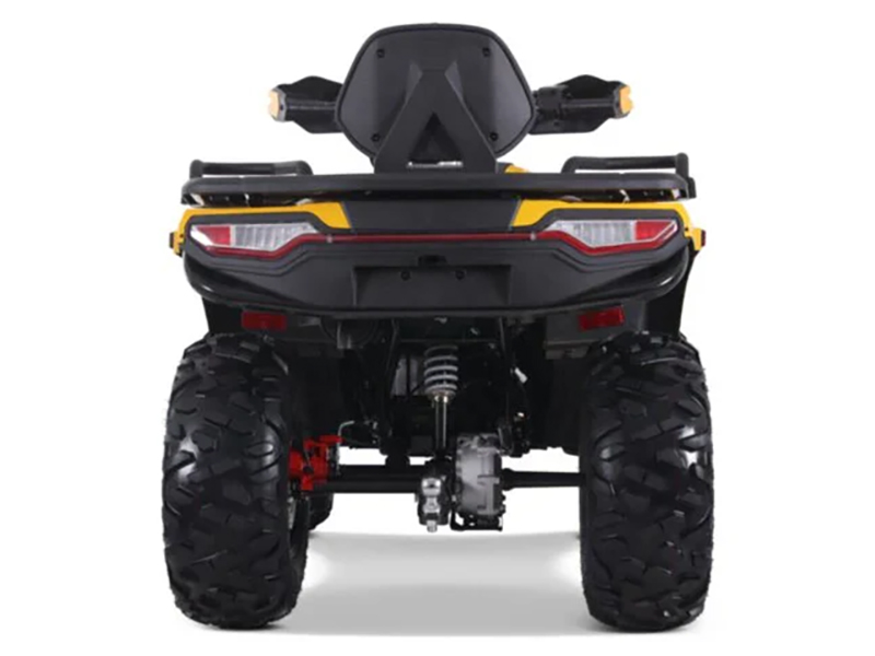 2023 Denago Powersports Freelander 300FI in Vestal, New York - Photo 6