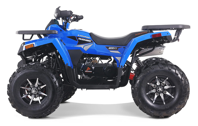 2023 Denago Powersports Mudhawk 200FI in Vestal, New York - Photo 1