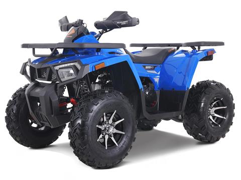 2023 Denago Powersports Mudhawk 200FI in Vestal, New York - Photo 2