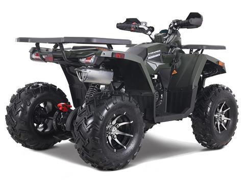 2023 Denago Powersports Mudhawk 200FI in Vestal, New York - Photo 4