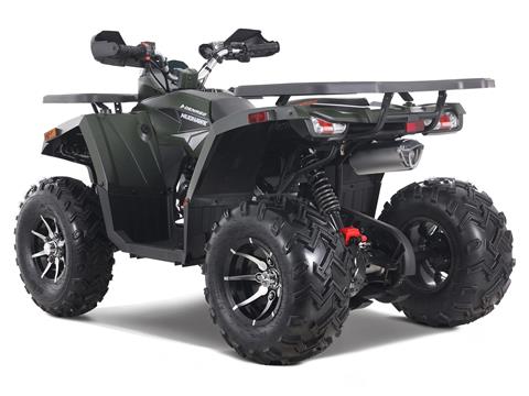 2023 Denago Powersports Mudhawk 200FI in Vestal, New York - Photo 5