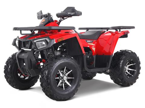 2023 Denago Powersports Mudhawk 200FI in Vestal, New York - Photo 2