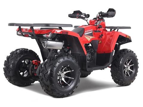 2023 Denago Powersports Mudhawk 200FI in Vestal, New York - Photo 4