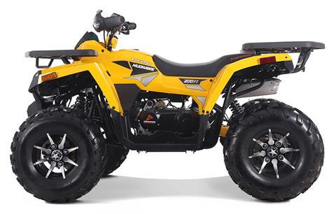 2023 Denago Powersports Mudhawk 200FI in Vestal, New York - Photo 1