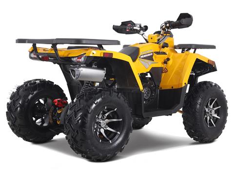 2023 Denago Powersports Mudhawk 200FI in Vestal, New York - Photo 4