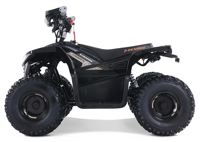 2025 Denago Powersports E-Hawk 6 in Vestal, New York - Photo 1