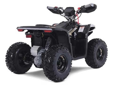 2025 Denago Powersports E-Hawk 6 in Vestal, New York - Photo 4