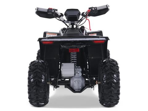2025 Denago Powersports E-Hawk 6 in Vestal, New York - Photo 5