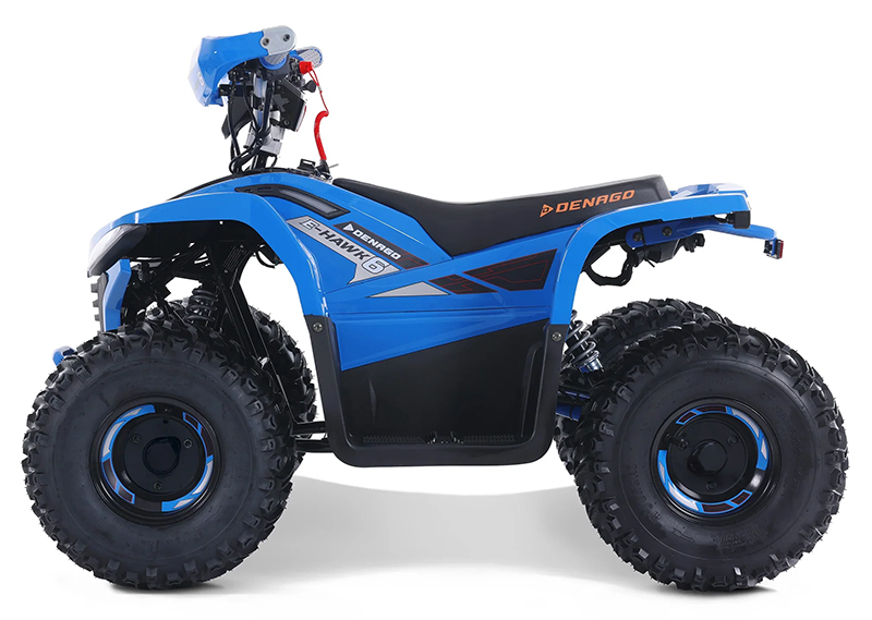 2025 Denago Powersports E-Hawk 6 in Vestal, New York - Photo 1