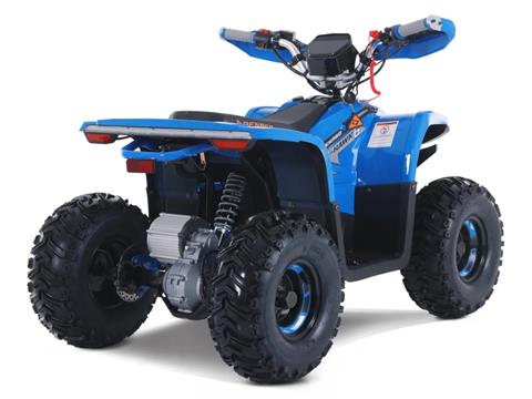 2025 Denago Powersports E-Hawk 6 in Vestal, New York - Photo 4