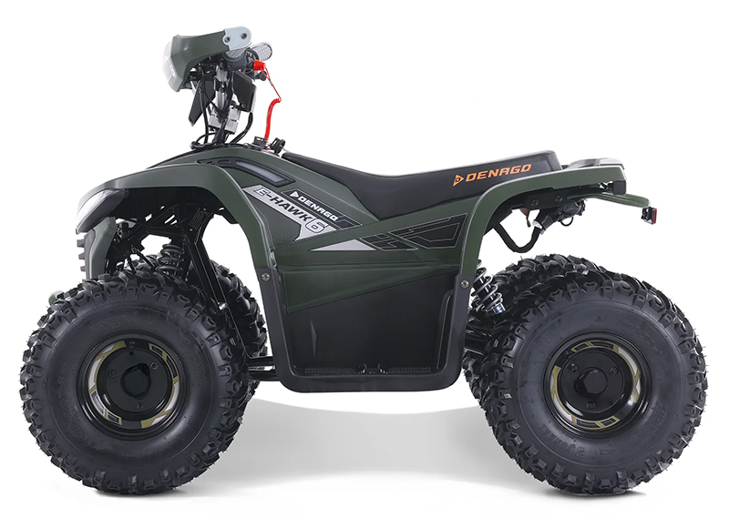 2025 Denago Powersports E-Hawk 6 in Vestal, New York - Photo 1