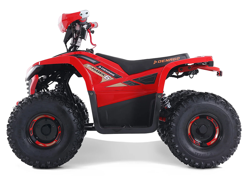 2025 Denago Powersports E-Hawk 6 in Vestal, New York - Photo 1