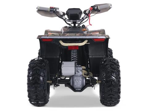 2025 Denago Powersports E-Hawk 6 in Vestal, New York - Photo 4