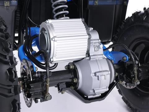 2025 Denago Powersports E-Hawk 6 in Vestal, New York - Photo 5