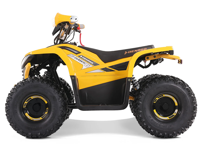 2025 Denago Powersports E-Hawk 6 in Vestal, New York - Photo 1