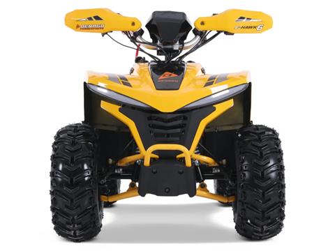 2025 Denago Powersports E-Hawk 6 in Vestal, New York - Photo 3