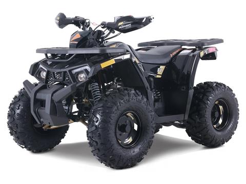 2025 Denago Powersports Mudhawk 10FI in Vestal, New York - Photo 2