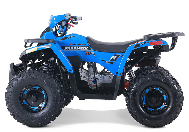 2025 Denago Powersports Mudhawk 10FI in Vestal, New York - Photo 1