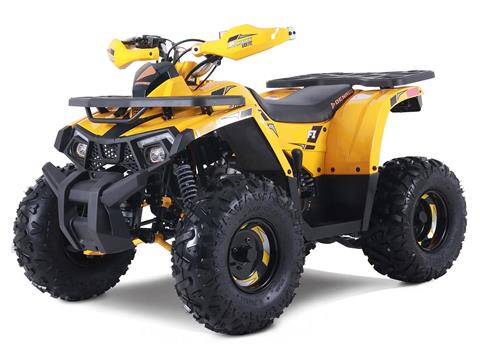 2025 Denago Powersports Mudhawk 10FI in Vestal, New York - Photo 2