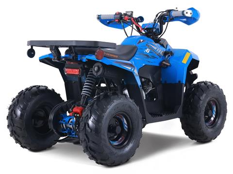 2025 Denago Powersports Mudhawk 6 in Vestal, New York - Photo 4
